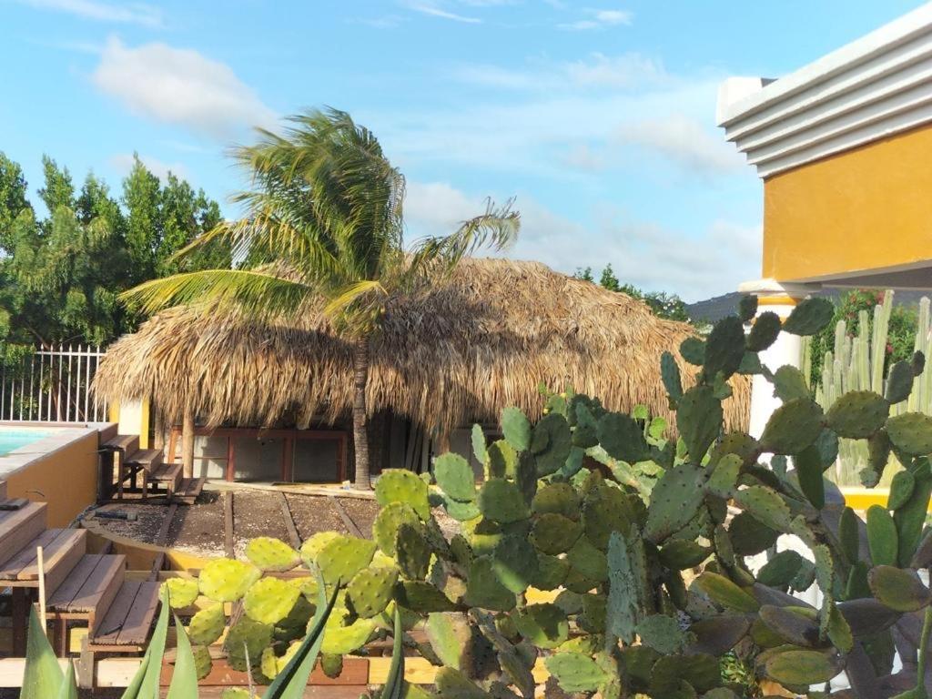 Landhuis Belnem Bonaire 크랄렌데이크 외부 사진
